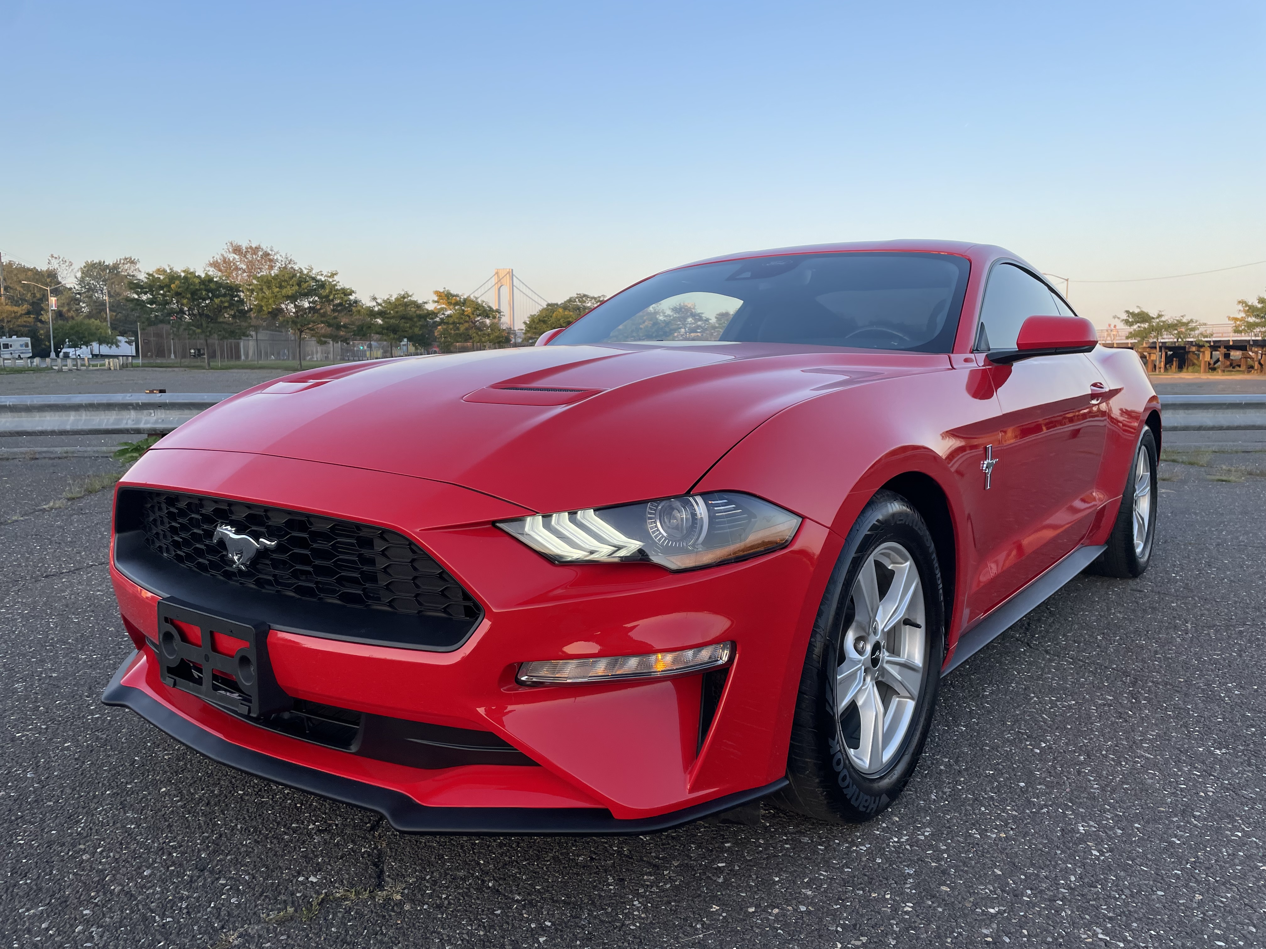 Used Car - 2021 Ford Mustang for Sale in Staten Island, NY