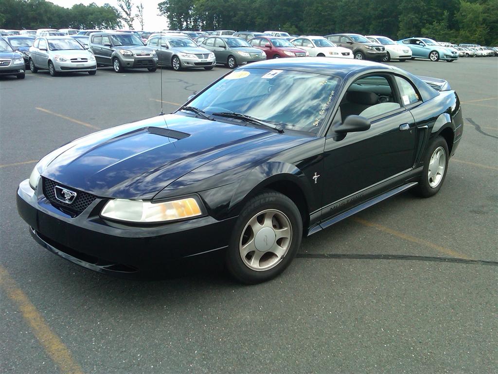 Cheap ford mustangs for sale used #6