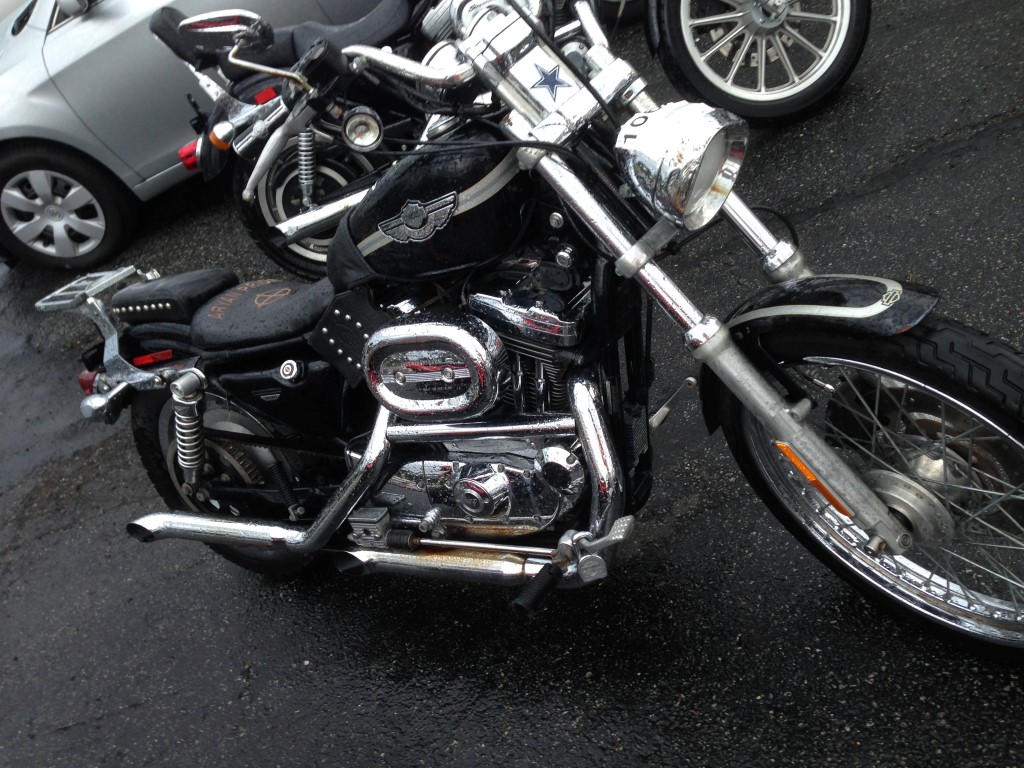 Used Car - 2003 Harley-Davidson XL 1200C for Sale in Staten Island, NY