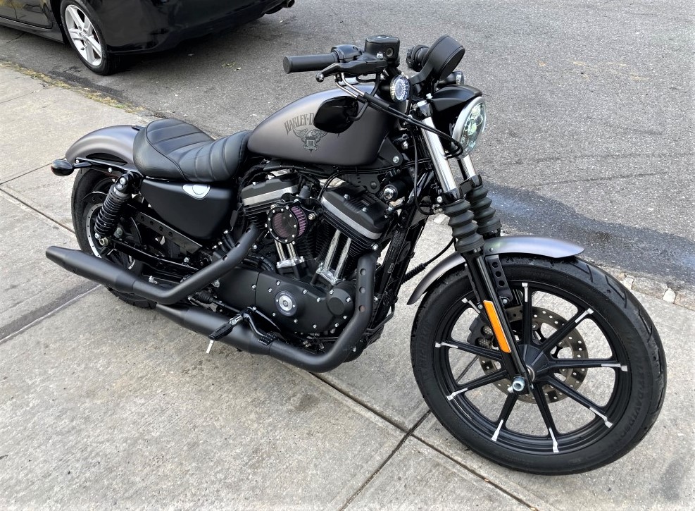 Used Car - 2017 Harley-Davidson XL883N for Sale in Staten Island, NY