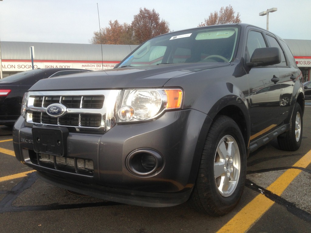Used Car - 2010 Ford Escape for Sale in Brooklyn, NY