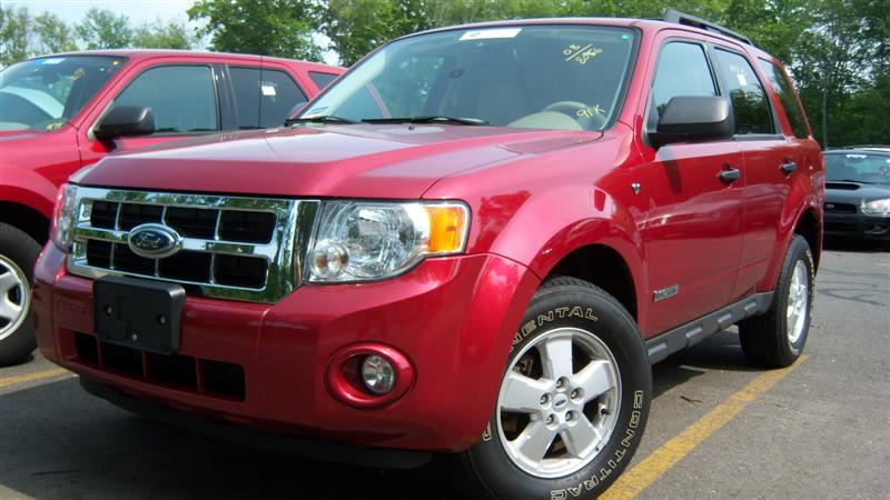 Used Car - 2008 Ford Escape XLT for Sale in Staten Island, NY
