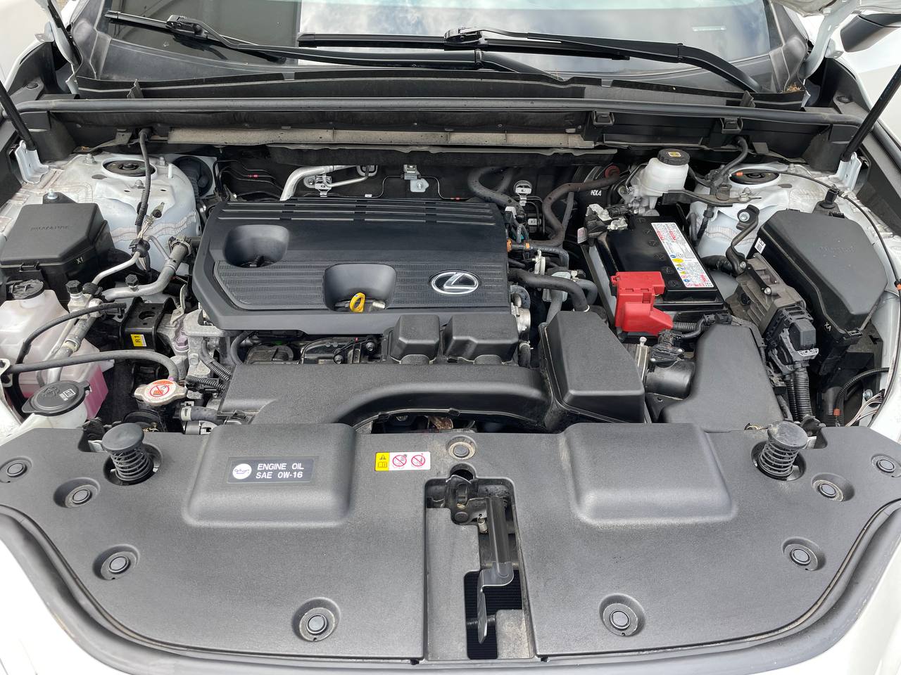 Used - Lexus NX 250 Wagon for sale in Staten Island NY