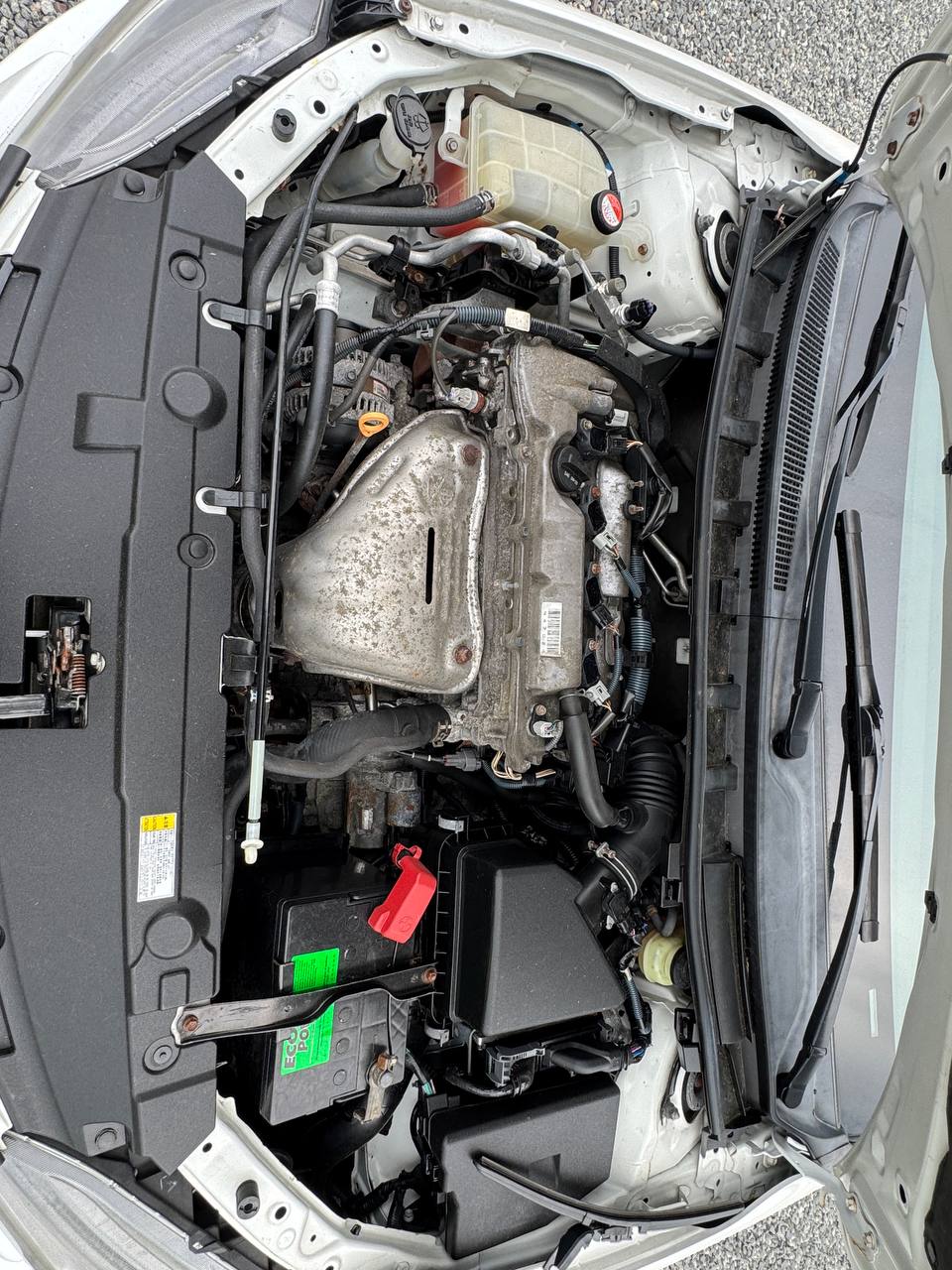 Used - Scion tC COUPE for sale in Staten Island NY