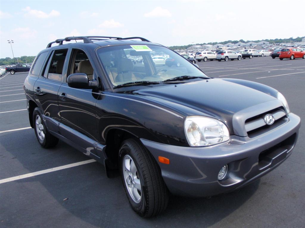 2006 Hyundai Santa Fe GLS Sport Utility for sale in Brooklyn, NY
