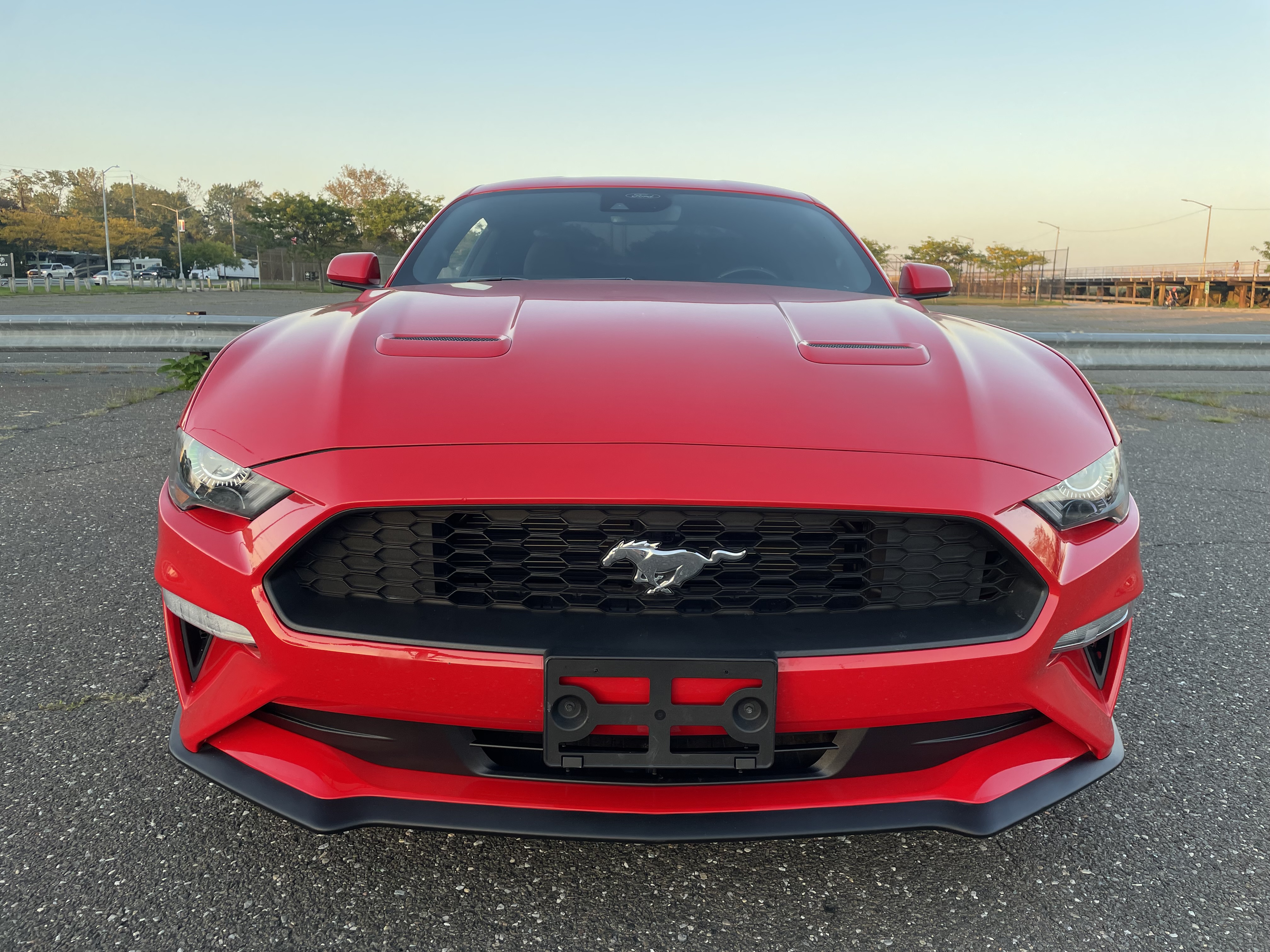 Used - Ford Mustang Coupe for sale in Staten Island NY