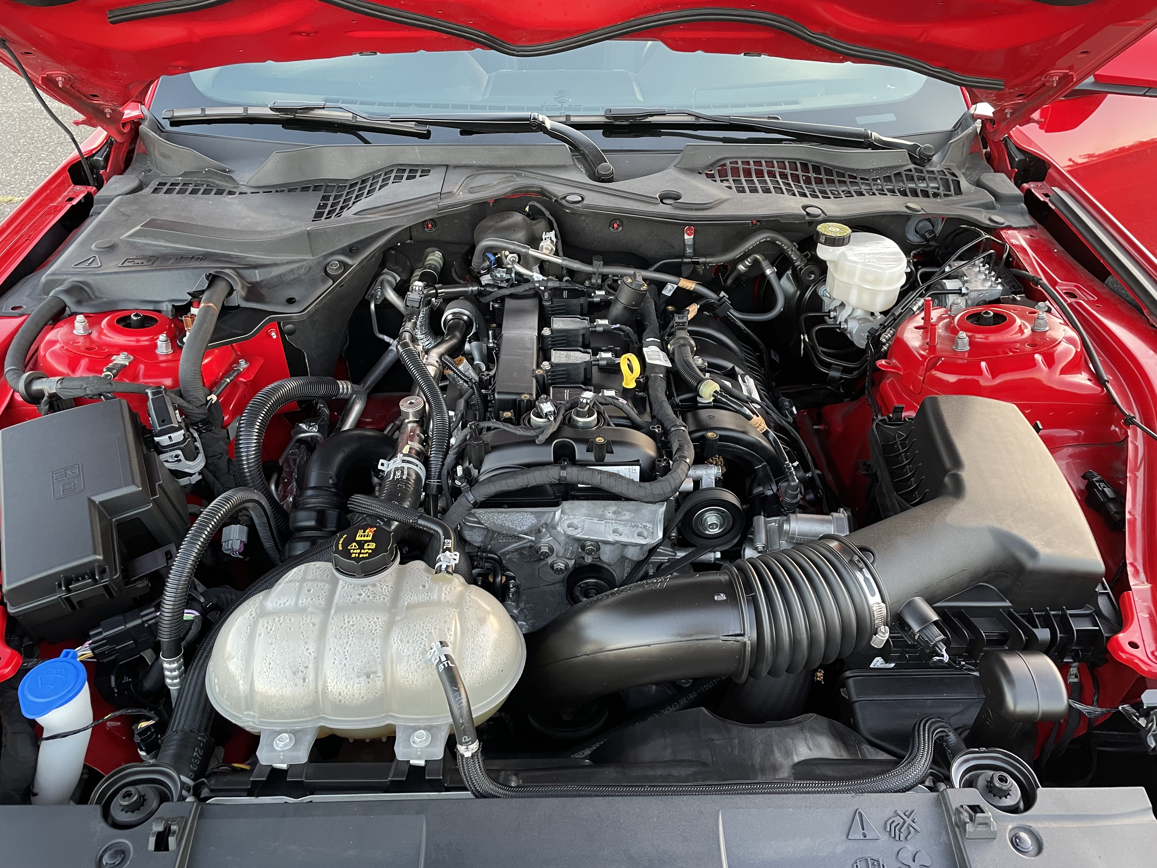 Used - Ford Mustang Coupe for sale in Staten Island NY