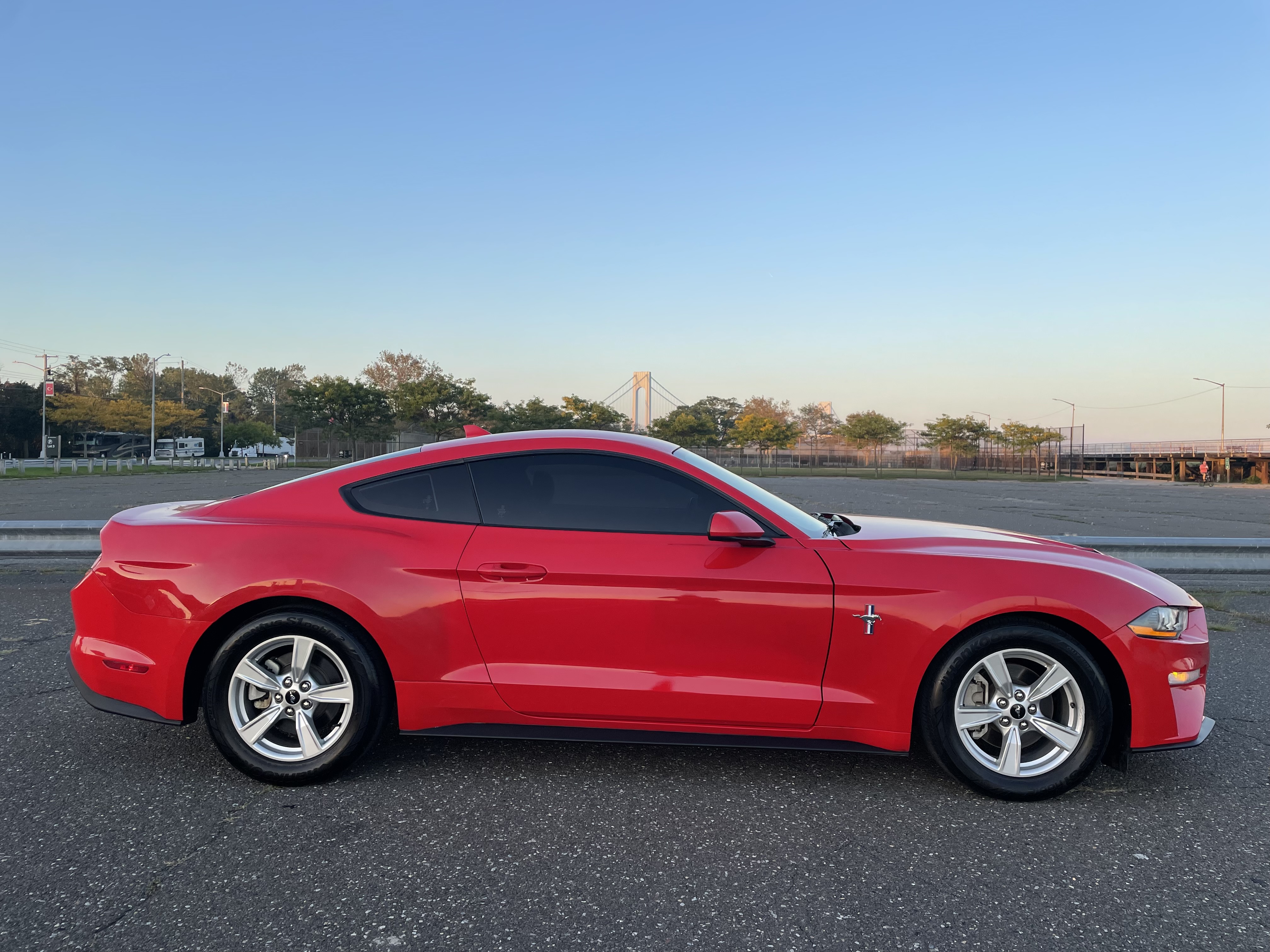 Used - Ford Mustang Coupe for sale in Staten Island NY
