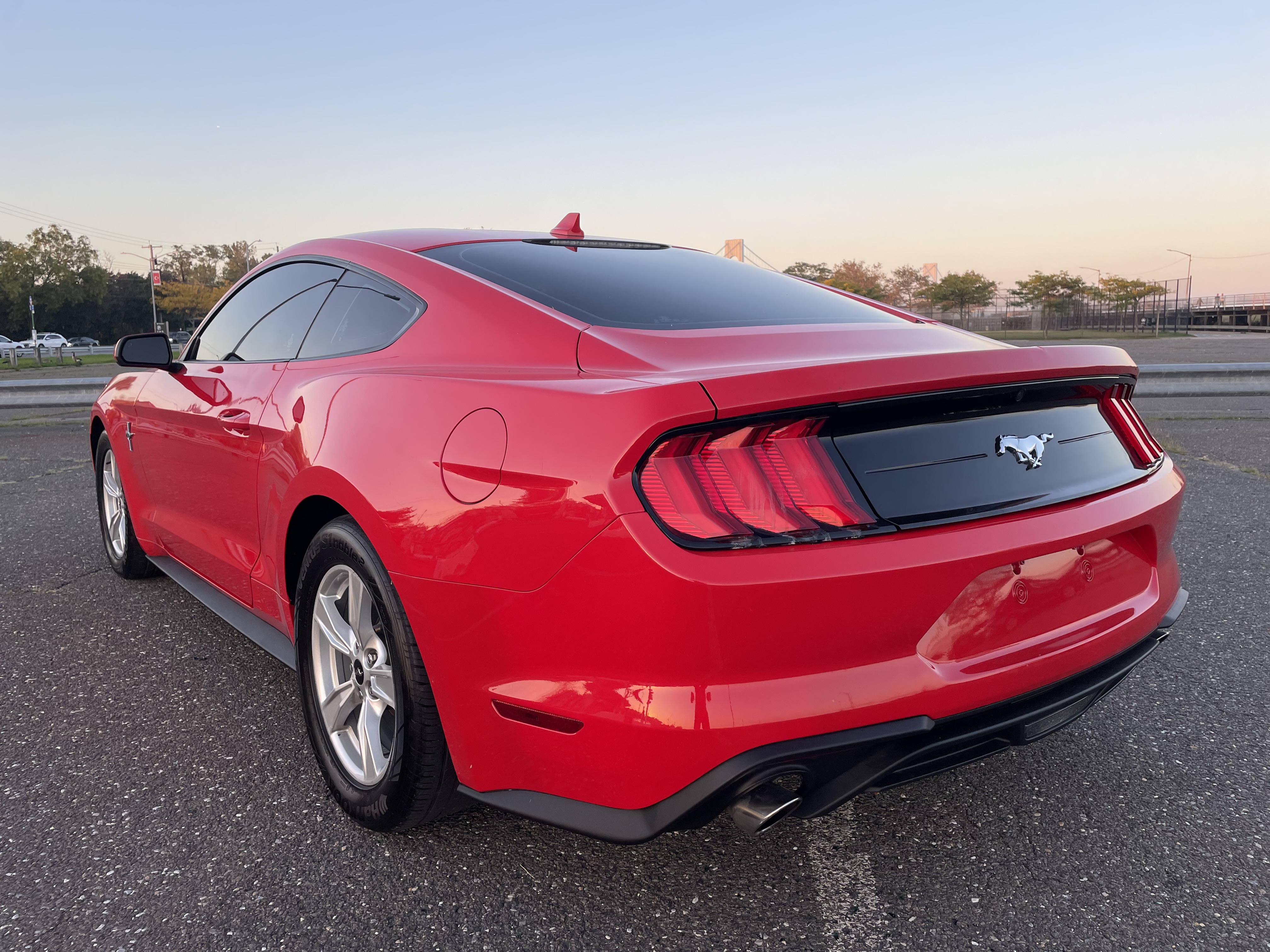 Used - Ford Mustang Coupe for sale in Staten Island NY