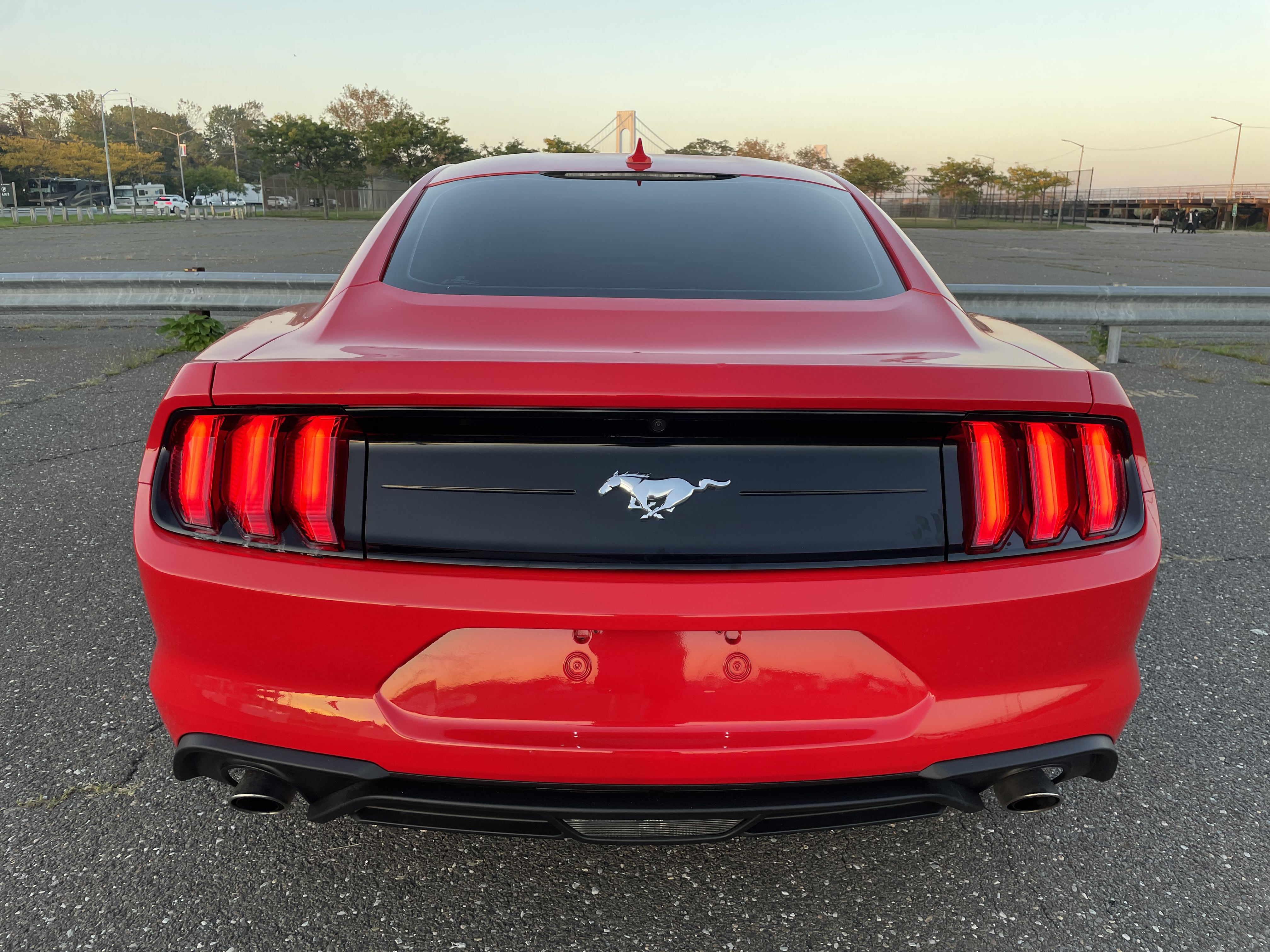 Used - Ford Mustang Coupe for sale in Staten Island NY