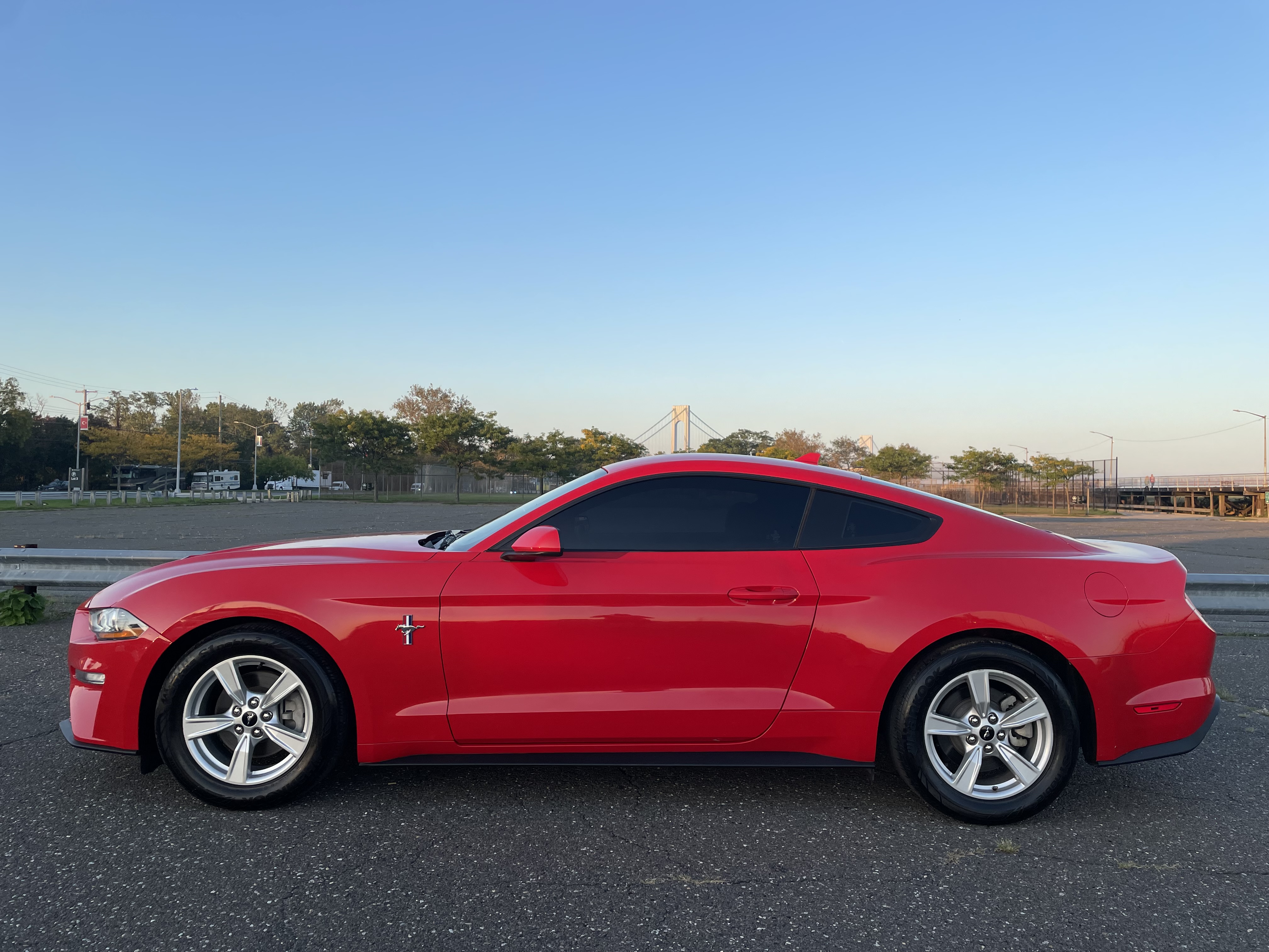 Used - Ford Mustang Coupe for sale in Staten Island NY