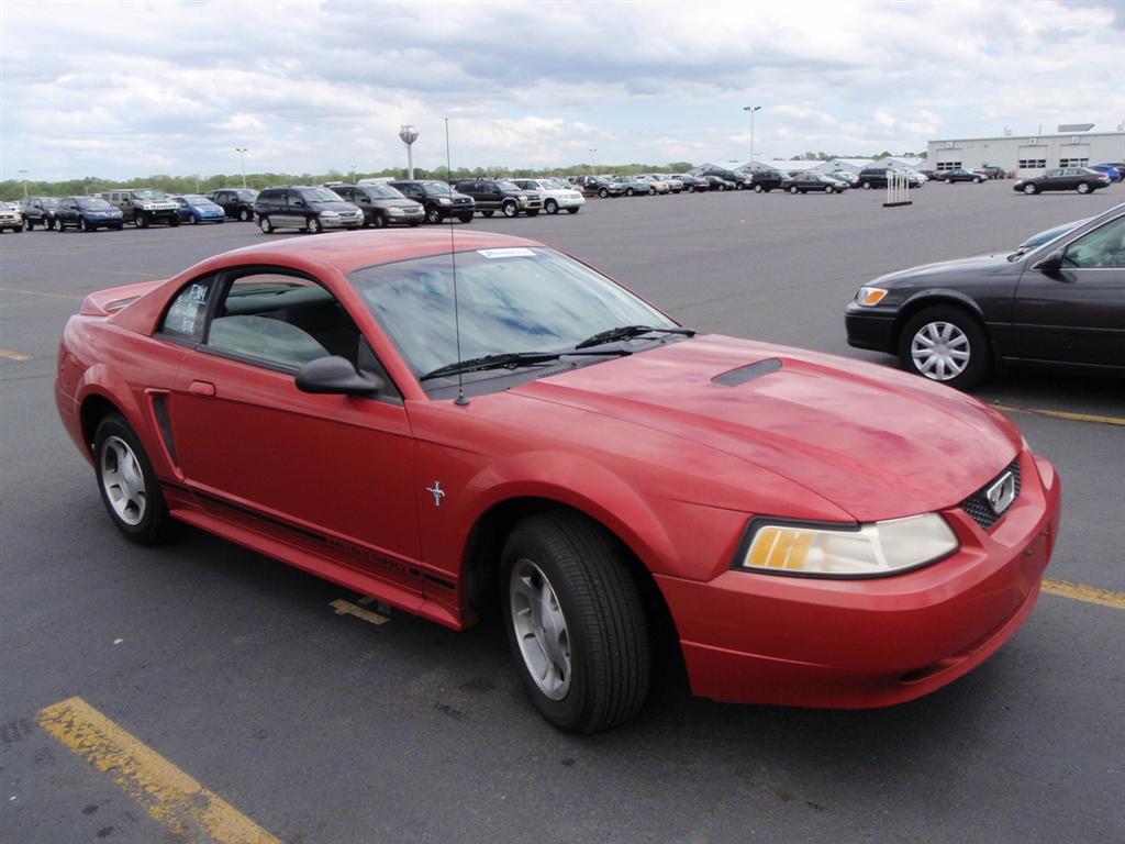Cheap ford mustangs for sale used #9