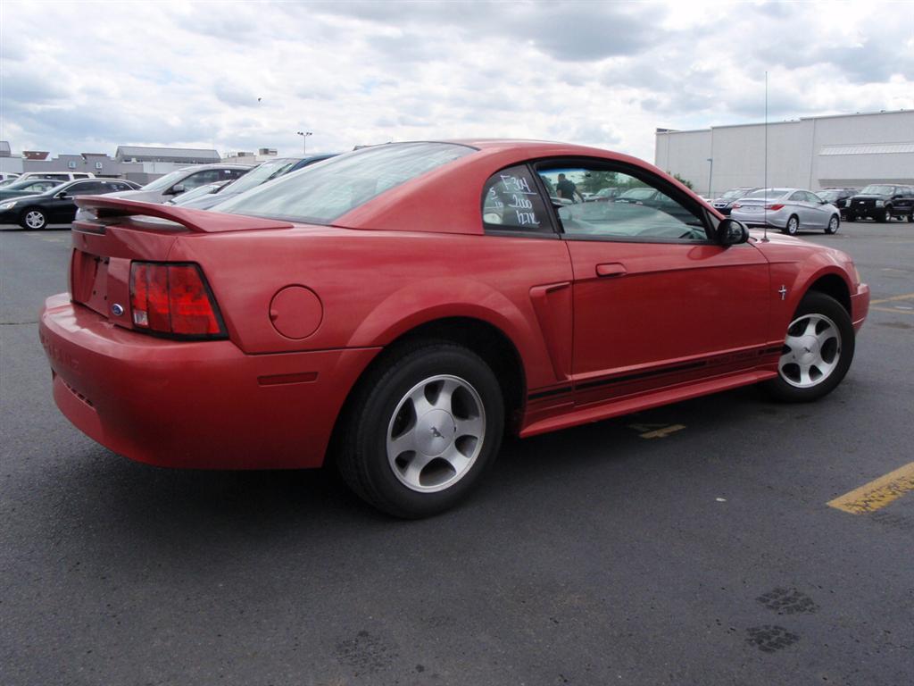 Used 2000 ford mustangs for sale
