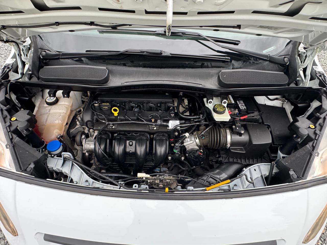 Used - Ford Transit Connect XL CARGO VAN for sale in Staten Island NY