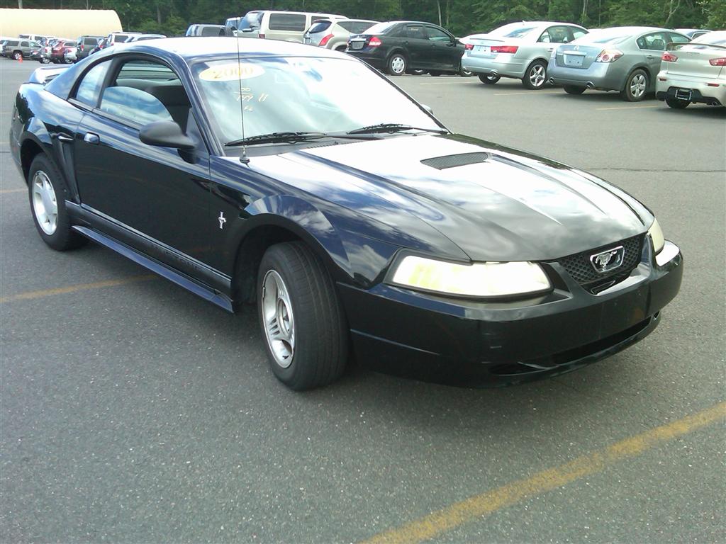 Cheap ford mustangs for sale used #5