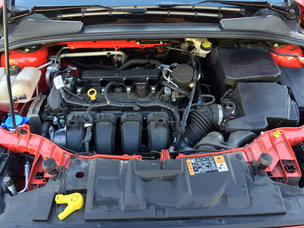 Used - Ford Focus SE Hatchback for sale in Staten Island NY