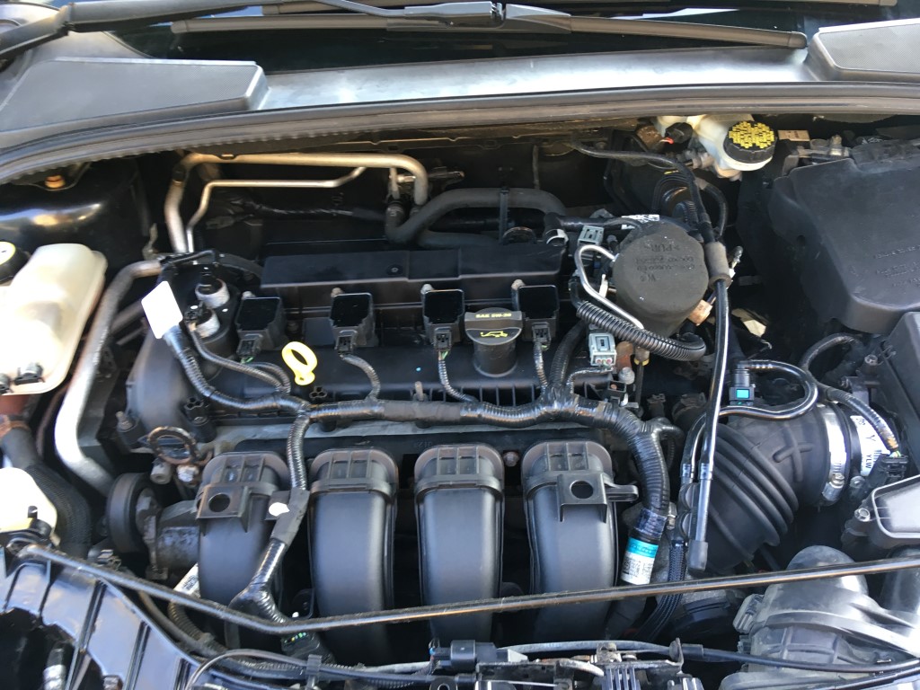 Used - Ford Focus SEL Sedan for sale in Staten Island NY