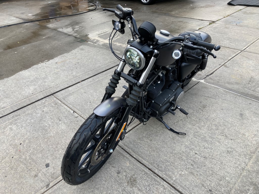 Used - Harley-Davidson XL883N  for sale in Staten Island NY