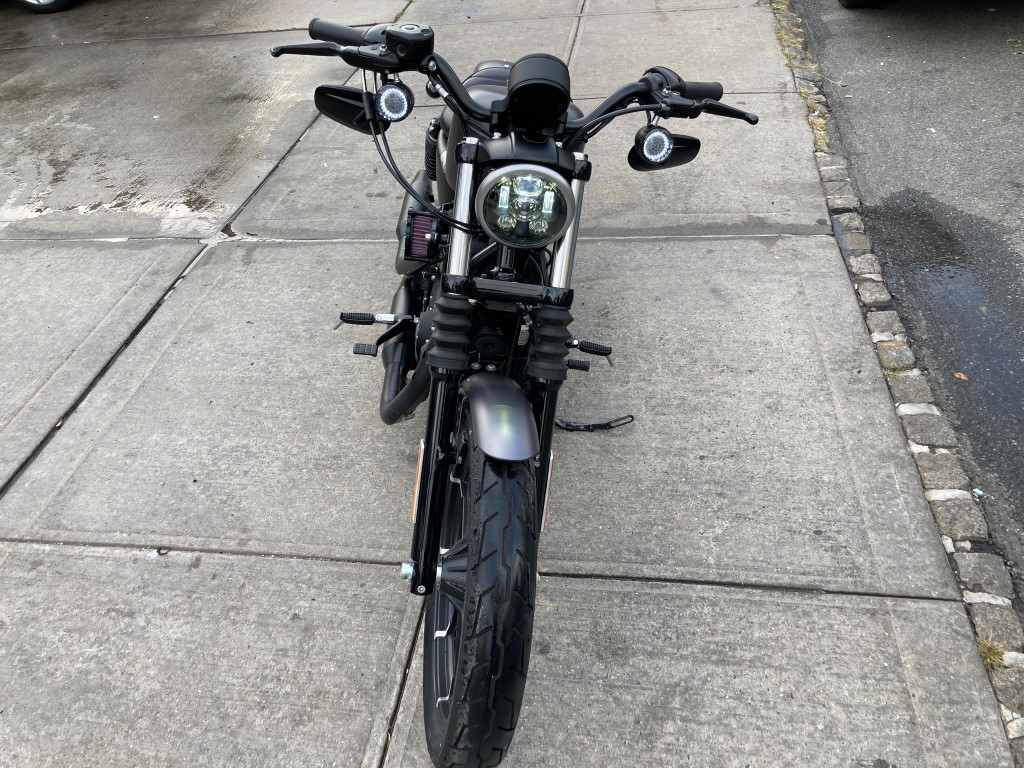 Used - Harley-Davidson XL883N  for sale in Staten Island NY