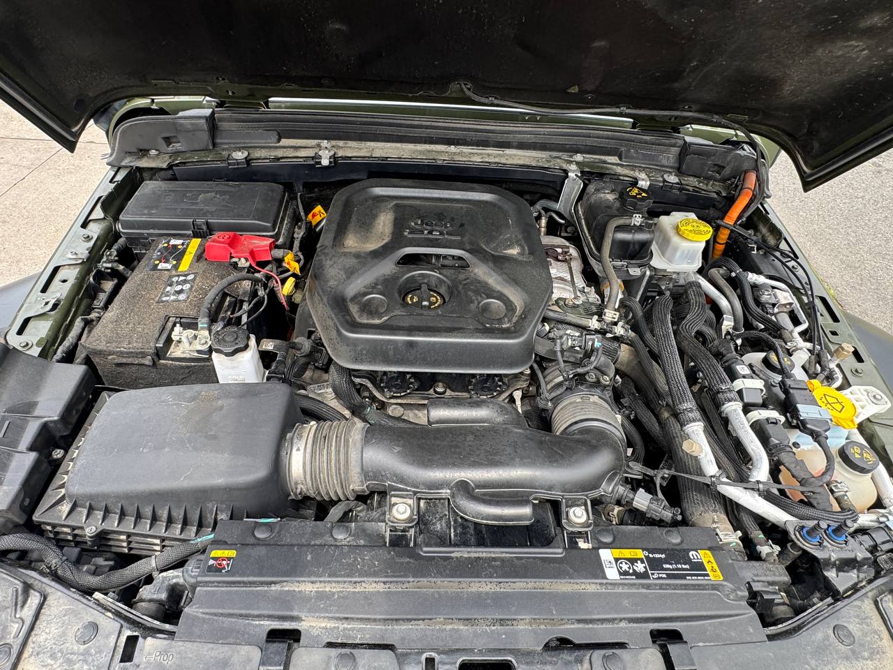 Used - Jeep Wrangler Willys SUV for sale in Staten Island NY