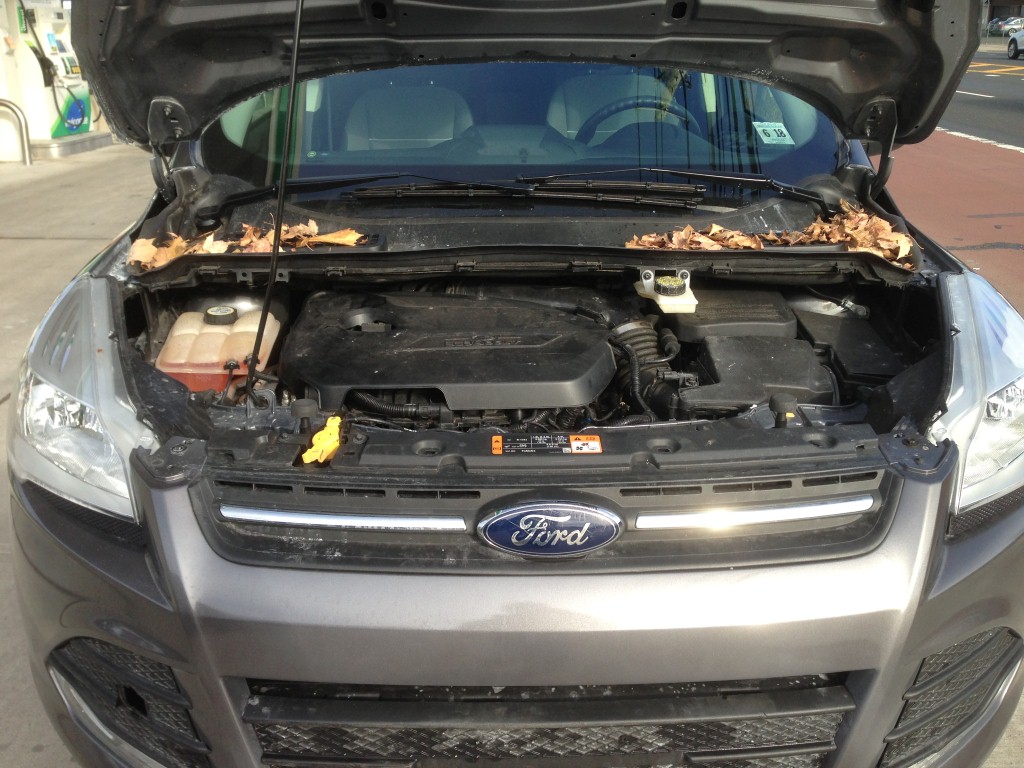 Used - Ford Escape Sport Utility for sale in Staten Island NY