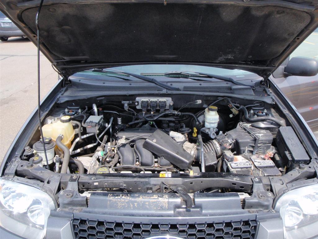 2005 Ford Escape Limited Sport Utility for sale in Brooklyn, NY