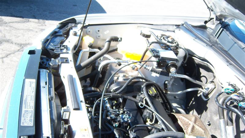 Used - Ford Escape XLS Sport Utility for sale in Staten Island NY