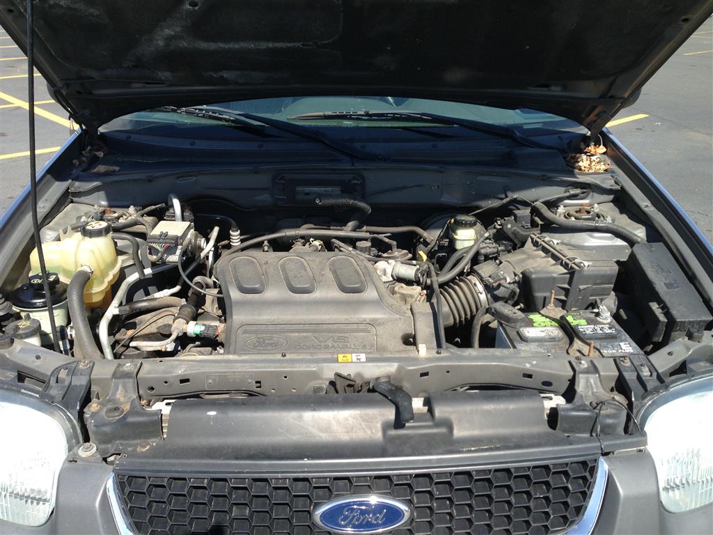 Pre-owned Car Escape XLTFord