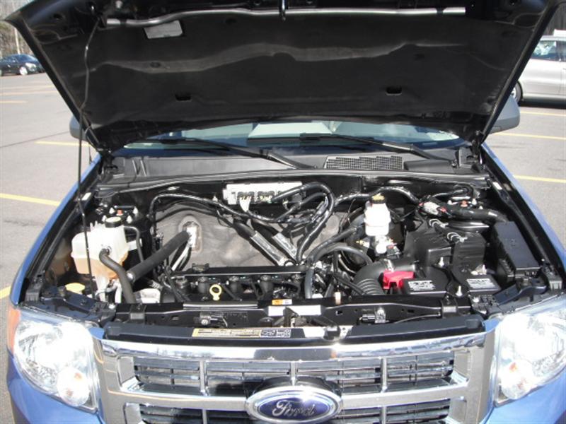 2009 Ford Escape XLT Sport Utility 4WD for sale in Brooklyn, NY